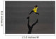 Top Athlete Runner Training Wall Decal