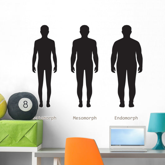 body male types, silhouette man naked figure, front human body Wall Decal