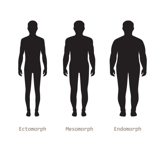 Body Male Types, Silhouette Man Naked Figure, Front Human Body Wall Decal