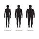 Body Male Types, Silhouette Man Naked Figure, Front Human Body Wall Decal