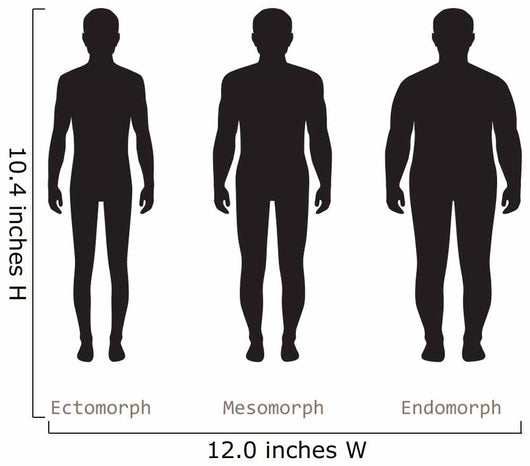 body male types, silhouette man naked figure, front human body Wall Decal