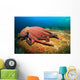 Octopus Wall Mural