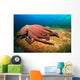 Octopus Wall Mural