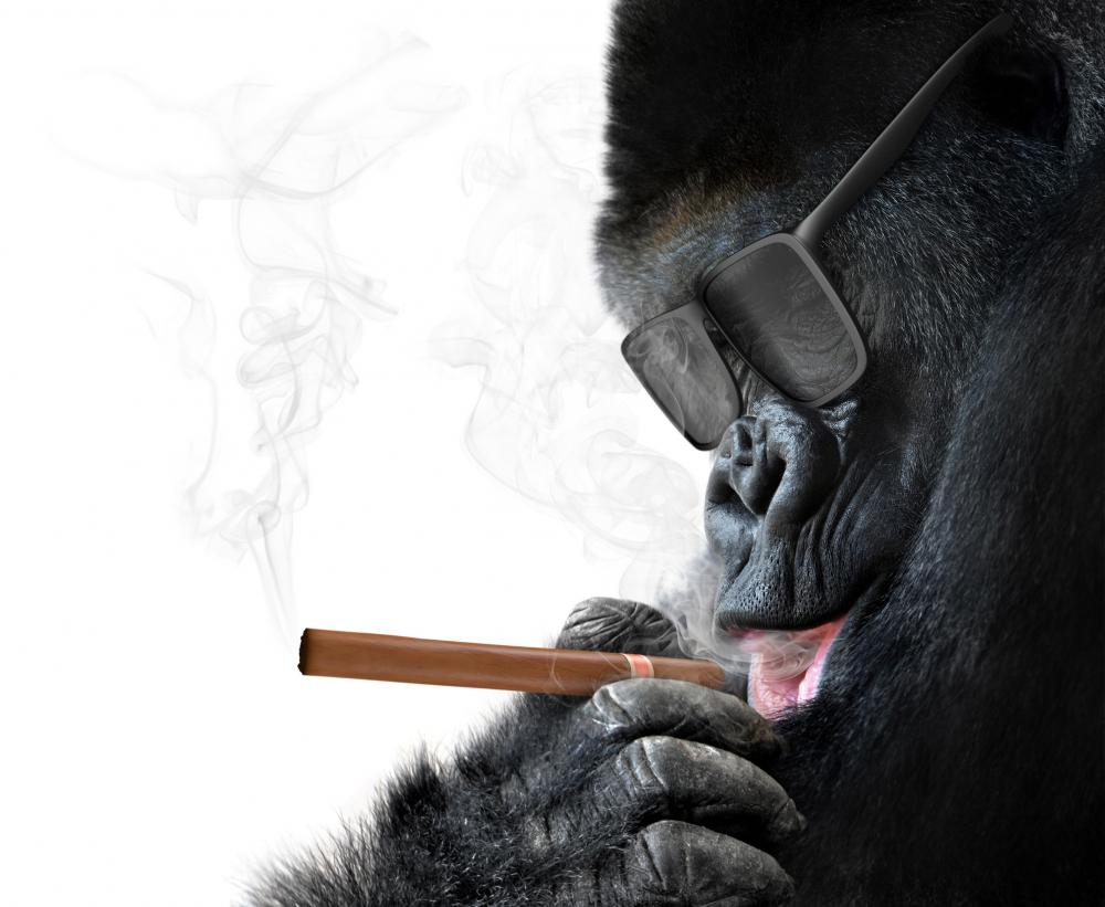 loneliness is like smoking 15 cigarettes Alone: Loneliness kills, 15 cigarettes • Ads of the World™