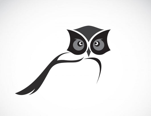 Vector Image Of An Owl Design On White Background Wall Decal