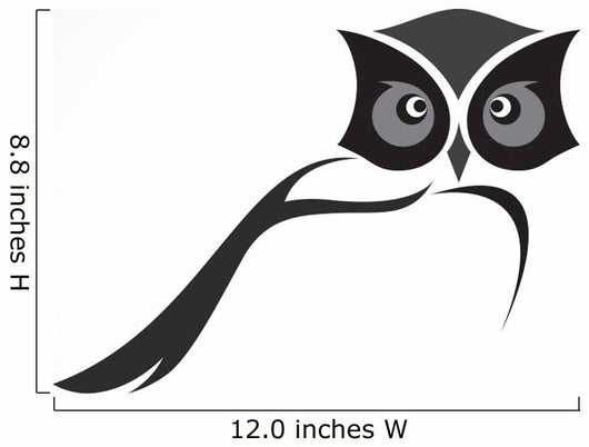 Vector image of an owl design on white background Wall Decal
