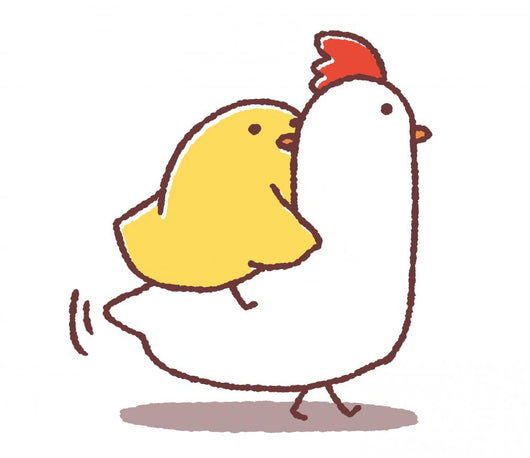 Chick N Chicken Wall Decal