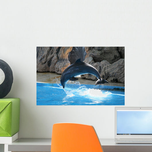 Dolphin Wall Mural