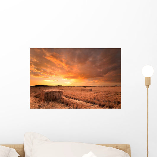 Cosecha Wall Mural