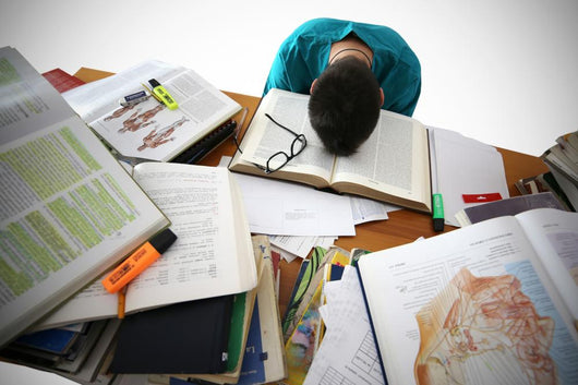Studente Medicina Wall Decal