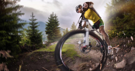 Sport. Mountain Bike Cyclist Riding Single Track Wall Decal