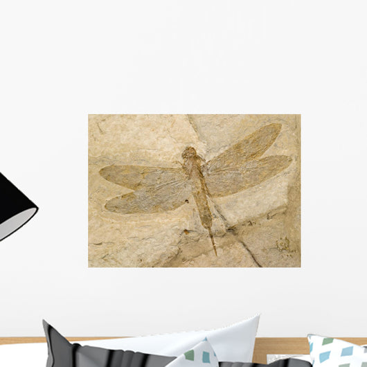 Fossil of a dragonfly. Wall Mural