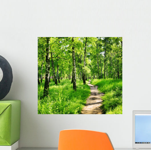 Birch forest on a sunny day. Green woods in summer Wall Mural
