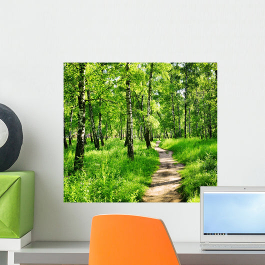 Birch forest on a sunny day. Green woods in summer Wall Mural