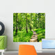 Birch forest on a sunny day. Green woods in summer Wall Mural
