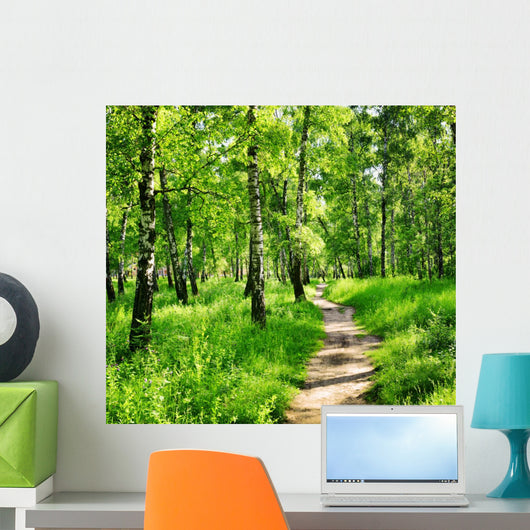 Birch forest on a sunny day. Green woods in summer Wall Mural