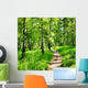 Birch forest on a sunny day. Green woods in summer Wall Mural