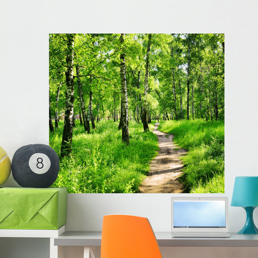Birch forest on a sunny day. Green woods in summer Wall Mural