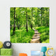 Birch forest on a sunny day. Green woods in summer Wall Mural