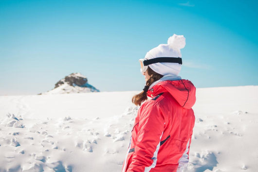 Woman Explorer Skier Looking The Snowy Horizon Wall Decal
