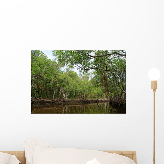 National Park Everglades Wall Mural