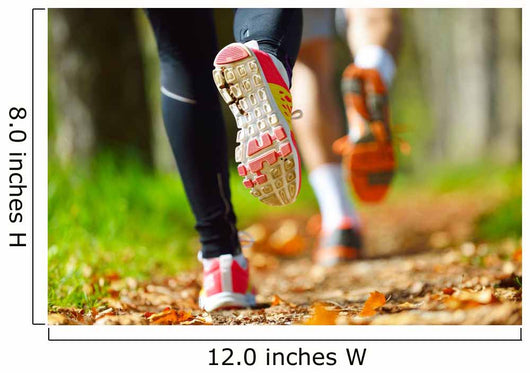 Young couple jogging in park at morning. Health and fitness. Wall Mural