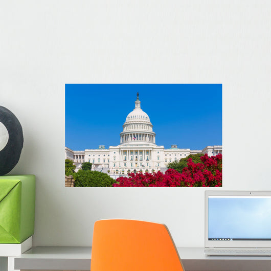 Capitol building Washington DC pink flowers USA Wall Mural