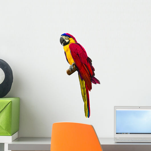 Colorful Red Parrot Macaw Wall Decal
