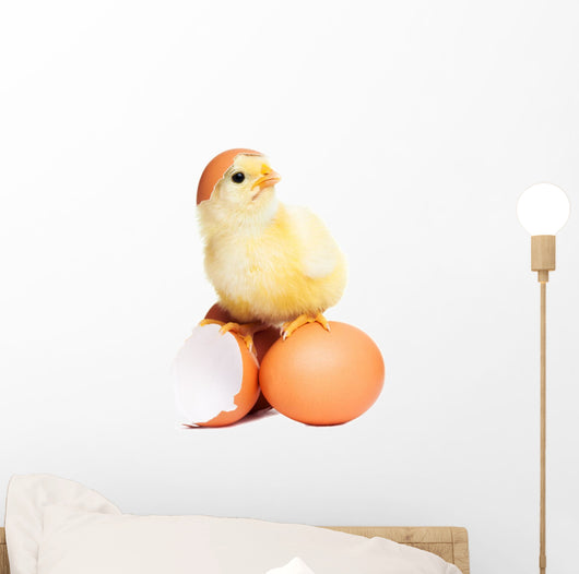 Cute Funny Easter Chick Wall Decal