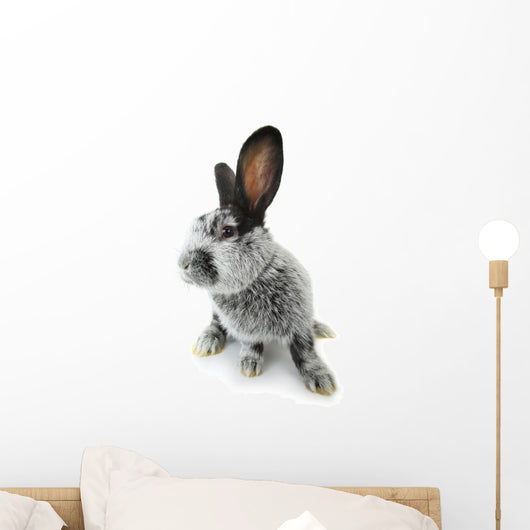 gray rabbit Wall Decal