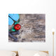 Sport equipment. Sneakers, dumbells, measuring tape Wall Mural