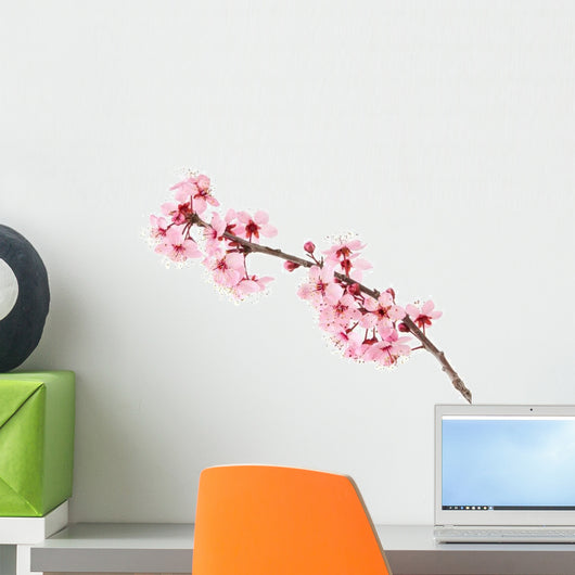 Cherry Blossoms Wall Decal