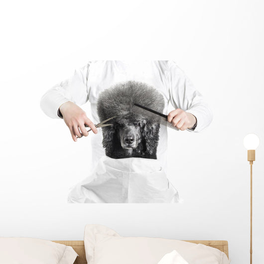 Poodle Grooming in Barber Shop Wall Decal