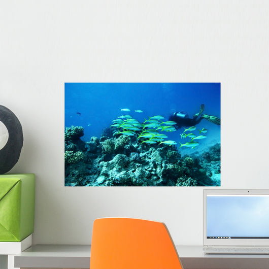 Scuba diver underwater Wall Mural