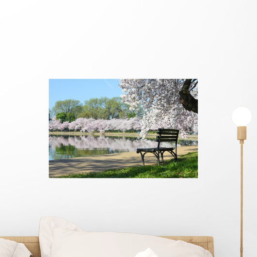 Washington DC - Thomas Jefferson Memorial in Spring Wall Mural