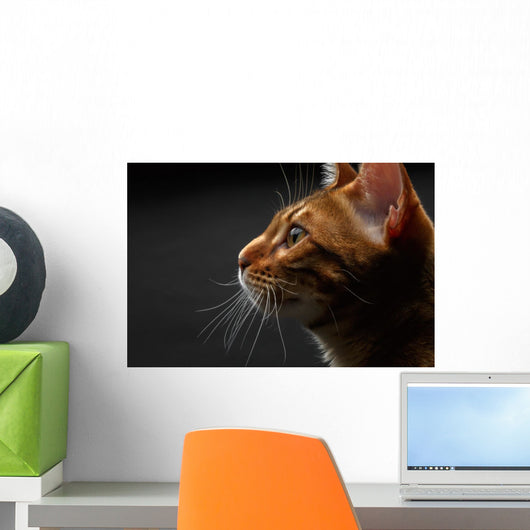 closeup bengal cat profile view Wall Mural