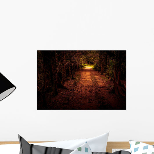 Mystery path throw the woods Wall Mural