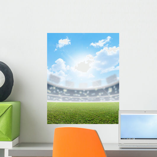 Stadium And Green Turf Wall Mural