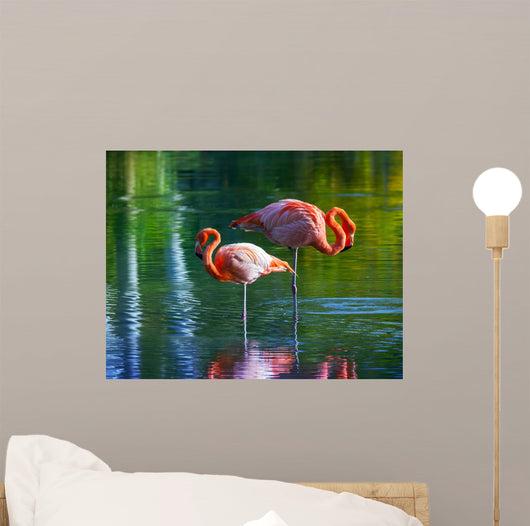 Two pink flamingos standing in the water. Stylized photo Wall Mural