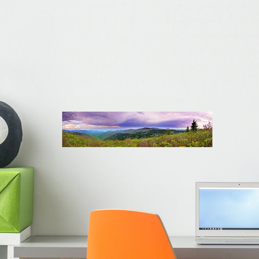 mountains and storm Wall Decal