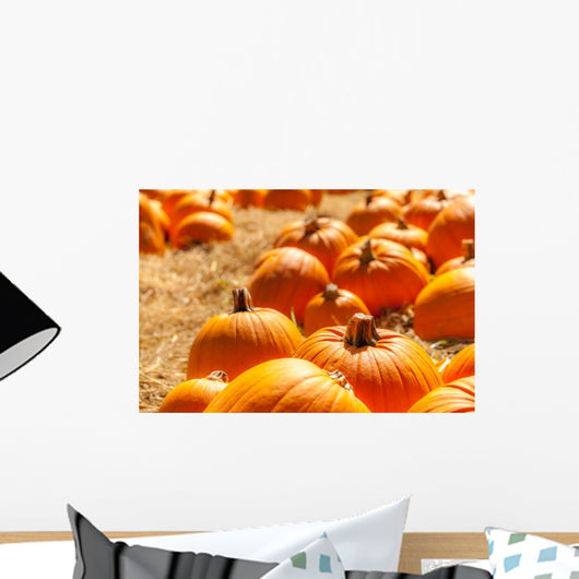 Orange pumpkins in a field of straw Wall Mural