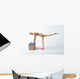 Physiotherapie, Rükenschule Wall Decal
