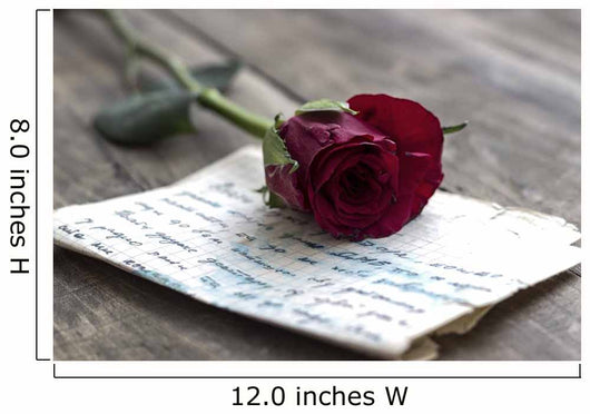 Love letter and rose Wall Mural