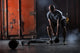 Bald Charismatic Athlete Doing Squats With Weights. Wall Decal