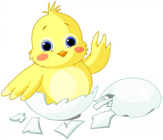 Newborn Baby Chicken Wall Decal
