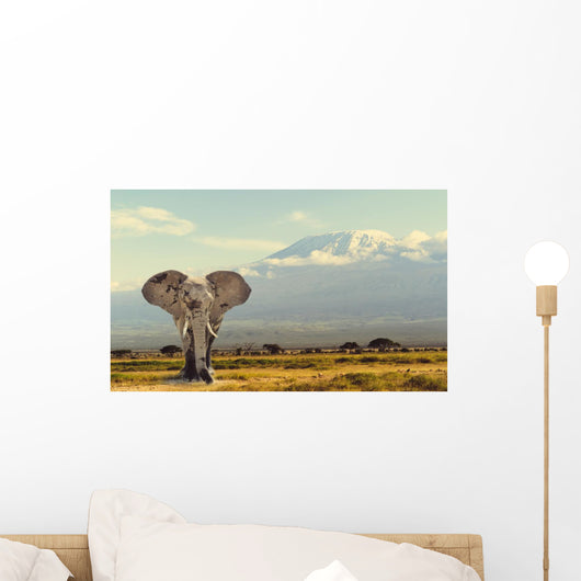 Kilimanjaro Savannah Elephant Wall Mural