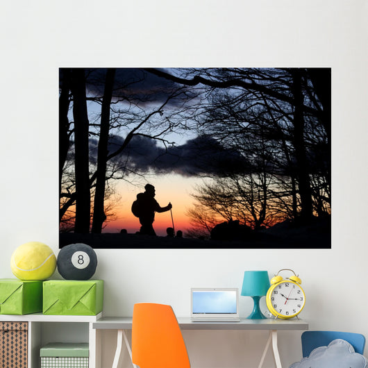 ciaspole al tramonto sulla neve Wall Mural