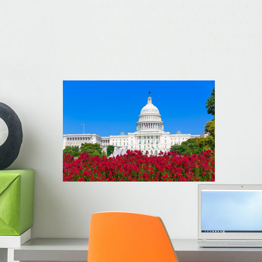 Capitol building Washington DC pink flowers USA Wall Mural