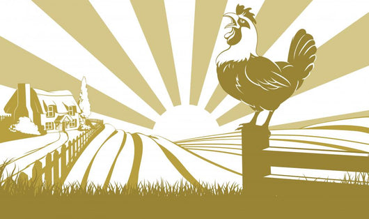 Rooster Farm Field Concept Wall Decal