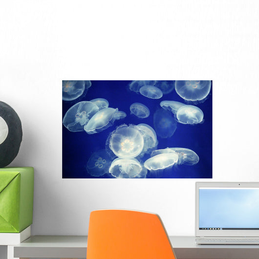 Aquarium Wall Decal